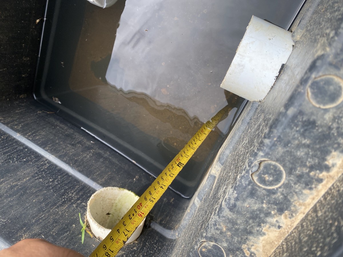 Building and Pest Inspections in Riverstone